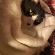 ヒメ日記 2024/12/14 07:41 投稿 美優(みう) club Ego