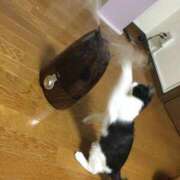 ヒメ日記 2024/12/14 11:46 投稿 美優(みう) club Ego