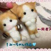 ヒメ日記 2025/01/19 00:25 投稿 美優(みう) club Ego