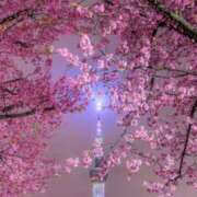 ヒメ日記 2025/03/17 00:30 投稿 美優(みう) club Ego