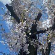 ヒメ日記 2025/04/04 21:15 投稿 美優(みう) club Ego