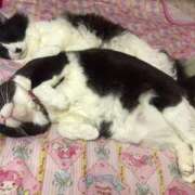 ヒメ日記 2025/04/23 14:51 投稿 美優(みう) club Ego