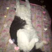 ヒメ日記 2025/04/25 00:02 投稿 美優(みう) club Ego