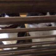 ヒメ日記 2025/05/13 13:32 投稿 美優(みう) club Ego