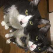 ヒメ日記 2025/05/29 21:30 投稿 美優(みう) club Ego