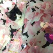 ヒメ日記 2025/06/05 23:01 投稿 美優(みう) club Ego