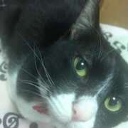 ヒメ日記 2025/06/08 23:55 投稿 美優(みう) club Ego