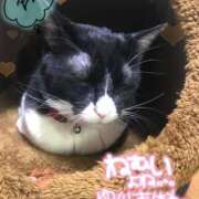 ヒメ日記 2025/06/09 22:00 投稿 美優(みう) club Ego