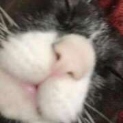 ヒメ日記 2025/09/18 22:30 投稿 美優(みう) club Ego