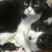 ヒメ日記 2025/09/25 22:15 投稿 美優(みう) club Ego