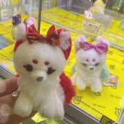 ヒメ日記 2025/11/04 20:31 投稿 美優(みう) club Ego