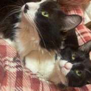 ヒメ日記 2025/11/15 22:15 投稿 美優(みう) club Ego