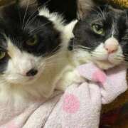 ヒメ日記 2026/01/05 20:16 投稿 美優(みう) club Ego