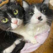 ヒメ日記 2026/02/26 20:45 投稿 美優(みう) club Ego