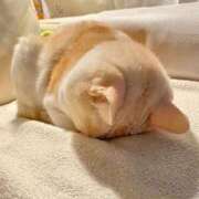 ヒメ日記 2026/03/04 15:45 投稿 美優(みう) club Ego