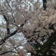 美優(みう) 🌸３月ありがとう🌸 club Ego