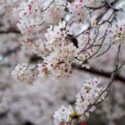 美優(みう) さっそく…嬉しい🌸 club Ego