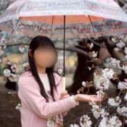 ヒメ日記 2026/04/02 17:02 投稿 美優(みう) club Ego