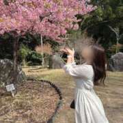 ヒメ日記 2025/03/26 02:02 投稿 かのん ごほうびSPA 大阪店