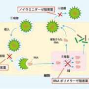 ヒメ日記 2026/09/15 01:20 投稿 かのん ごほうびSPA 大阪店