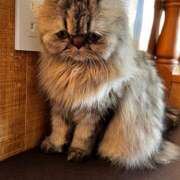 ヒメ日記 2025/05/06 22:18 投稿 みく Vivienne池袋西口店