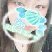 ヒメ日記 2024/12/12 11:57 投稿 おうか 熟女家 梅田店