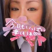 ヒメ日記 2025/02/11 13:27 投稿 おうか 熟女家 梅田店