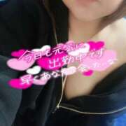 ヒメ日記 2025/04/01 13:47 投稿 おうか 熟女家 梅田店