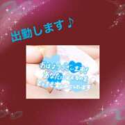 ヒメ日記 2025/04/05 09:37 投稿 おうか 熟女家 梅田店