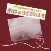 ヒメ日記 2025/04/20 07:37 投稿 おうか 熟女家 梅田店