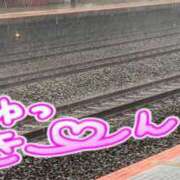 ヒメ日記 2025/07/16 15:47 投稿 おうか 熟女家 梅田店