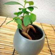 ヒメ日記 2025/08/21 13:37 投稿 おうか 熟女家 梅田店