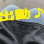 ヒメ日記 2025/09/08 15:37 投稿 おうか 熟女家 梅田店