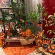 ヒメ日記 2025/10/31 12:07 投稿 おうか 熟女家 梅田店