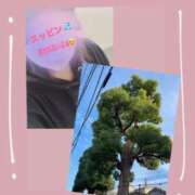 ヒメ日記 2025/11/13 12:27 投稿 おうか 熟女家 梅田店