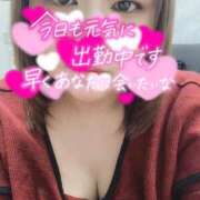 ヒメ日記 2025/12/12 17:47 投稿 おうか 熟女家 梅田店