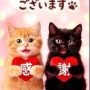 ヒメ日記 2026/01/31 20:37 投稿 おうか 熟女家 梅田店