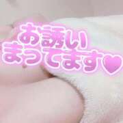 ヒメ日記 2026/04/06 11:12 投稿 おうか 熟女家 梅田店