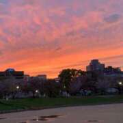 ヒメ日記 2026/04/12 07:57 投稿 おうか 熟女家 梅田店