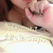 ヒメ日記 2026/04/14 06:47 投稿 おうか 熟女家 梅田店