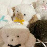 ヒメ日記 2025/10/05 17:07 投稿 つきこ シャブール