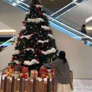 ヒメ日記 2025/11/23 19:46 投稿 つきこ シャブール