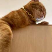 ヒメ日記 2026/03/01 19:10 投稿 つきこ シャブール