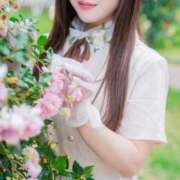 ヒメ日記 2026/03/17 00:15 投稿 つきこ シャブール