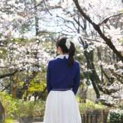 ヒメ日記 2026/04/06 07:02 投稿 つきこ シャブール