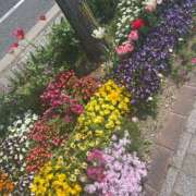 ヒメ日記 2026/04/09 11:30 投稿 つきこ シャブール