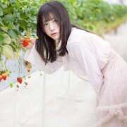 ヒメ日記 2026/04/10 07:03 投稿 つきこ シャブール