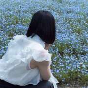 ヒメ日記 2026/04/29 20:54 投稿 つきこ シャブール