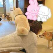 ヒメ日記 2026/01/30 00:37 投稿 奥≫白霧つくよ 不倫商事 多治見本店