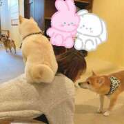 ヒメ日記 2026/03/24 19:55 投稿 奥≫白霧つくよ 不倫商事 多治見本店